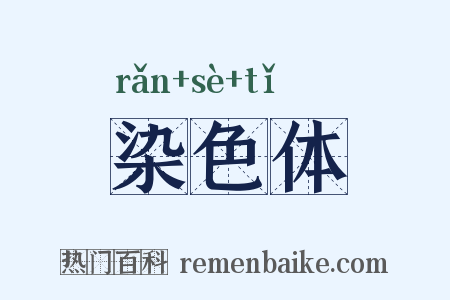 染色体是什么意思的图片